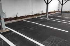 IMG-20240306-WA0013