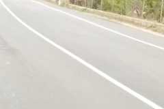 b2e790a0-ab09-42d6-b581-141873de56e9