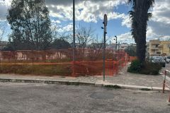 IMG-20250317-WA0021