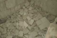 IMG-20240305-WA0025