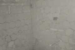 IMG-20240305-WA0027