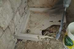 IMG-20240305-WA0033