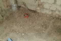 IMG-20240305-WA0034