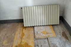 IMG-20240306-WA0021