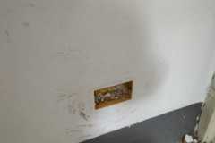 IMG-20240306-WA0023