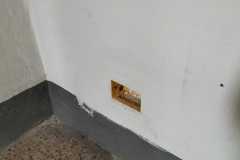 IMG-20240306-WA0029