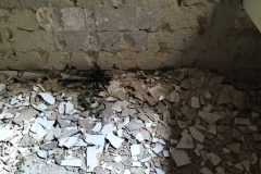 IMG-20240306-WA0033