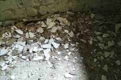 IMG-20240306-WA0034