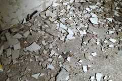 IMG-20240306-WA0035