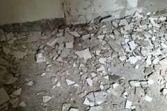 IMG-20240306-WA0036