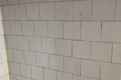 IMG-20240306-WA0046