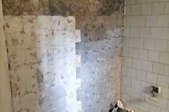 IMG-20240306-WA0047