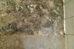 IMG-20240306-WA0050