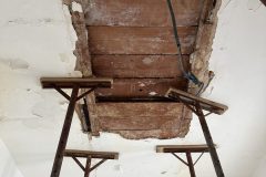IMG_2296-scaled