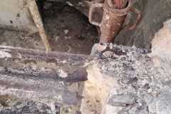 IMG-20240611-WA0021