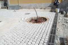 IMG-20240402-WA0025