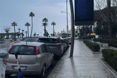 IMG-20250225-WA0046
