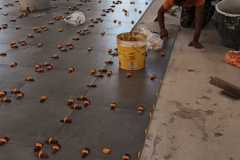 IMG-20240606-WA0016