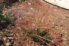 IMG-20250905-WA0022