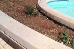IMG-20250905-WA0023