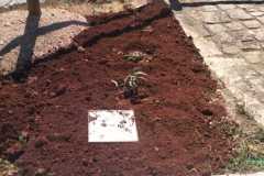 IMG-20250905-WA0028