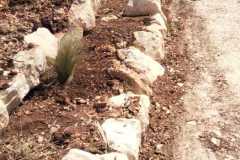 IMG-20250905-WA0029
