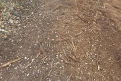 IMG-20250417-WA0046