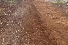 IMG-20250417-WA0047