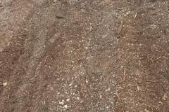 IMG-20250417-WA0048