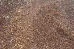 IMG-20250417-WA0049