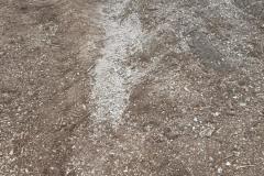 IMG-20250417-WA0050