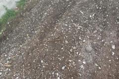 IMG-20250417-WA0051