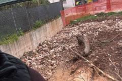 IMG-20250417-WA0054