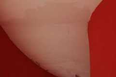 ebc57ee5-204e-4d4c-a85e-502c477b4b44