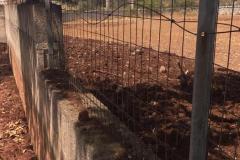 IMG-20250827-WA0028